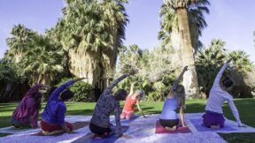 A group of individuals doing yoga on the lawn area
